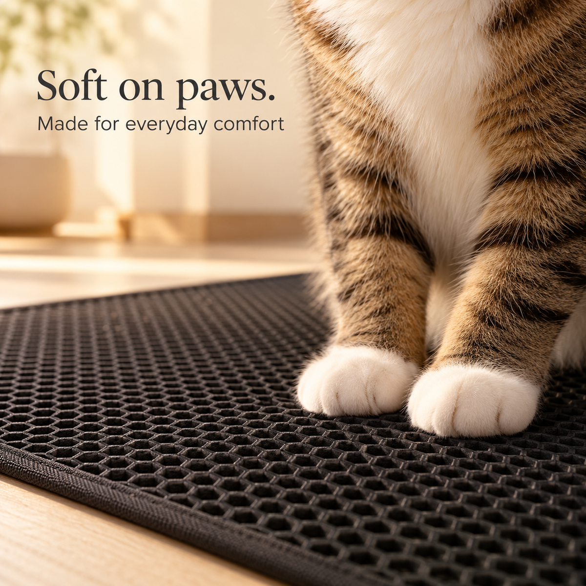 Soft on paws: cat paws resting on the soft honeycomb surface of the PawProof mat